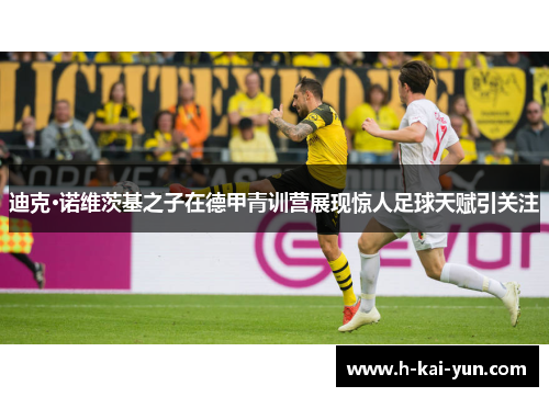 迪克·诺维茨基之子在德甲青训营展现惊人足球天赋引关注